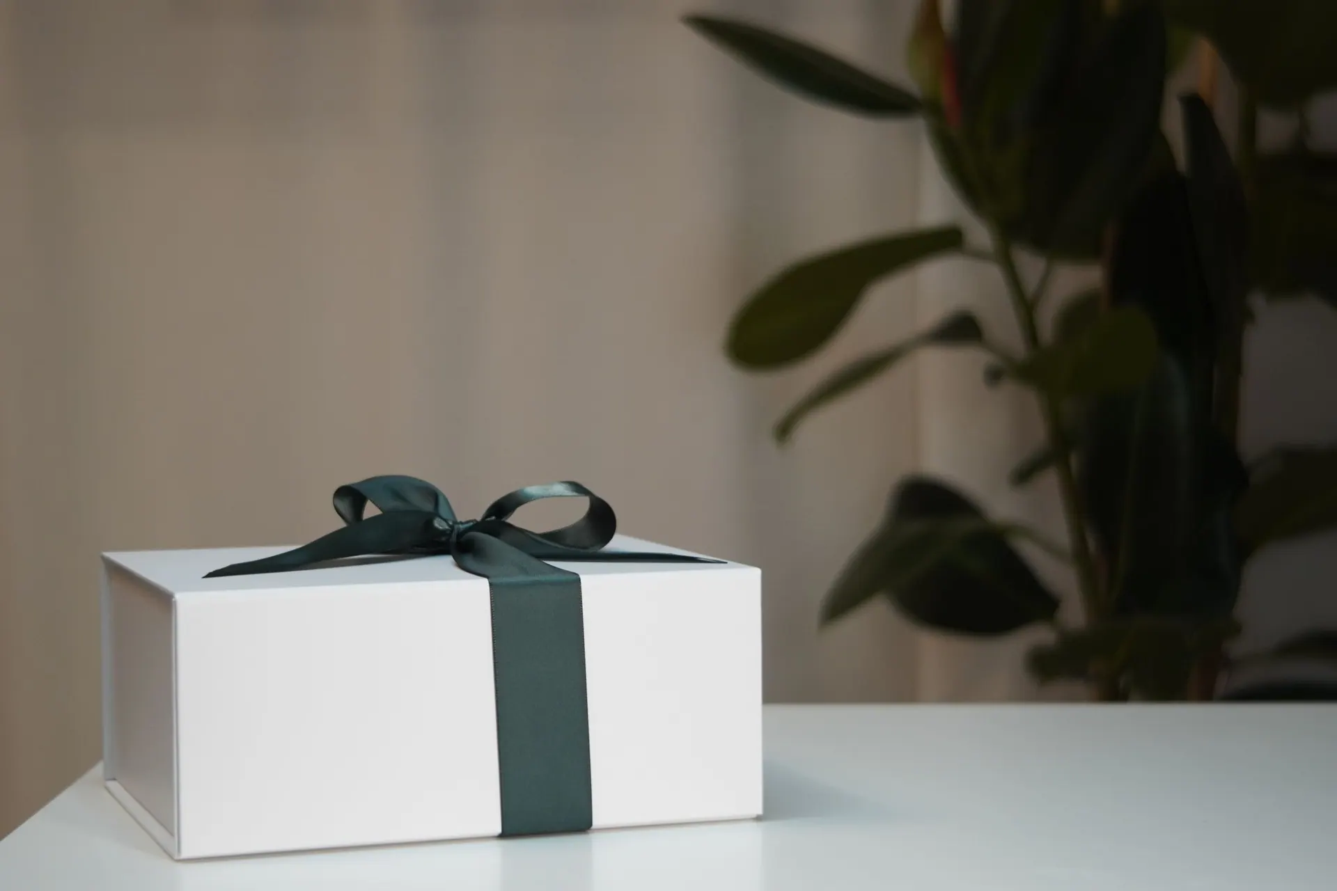 A white gift box tied with a deep green ribbon